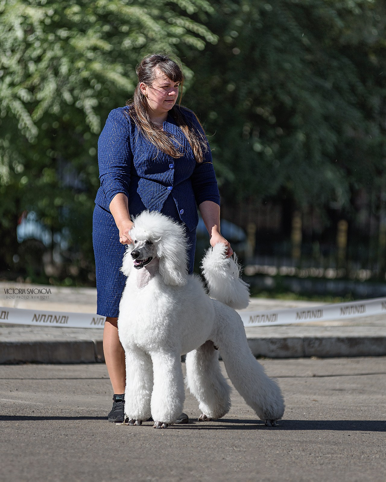 23 сентября 2023 Благовещенск. Фотограф анималист Благовещенск. Сафонова Виктория