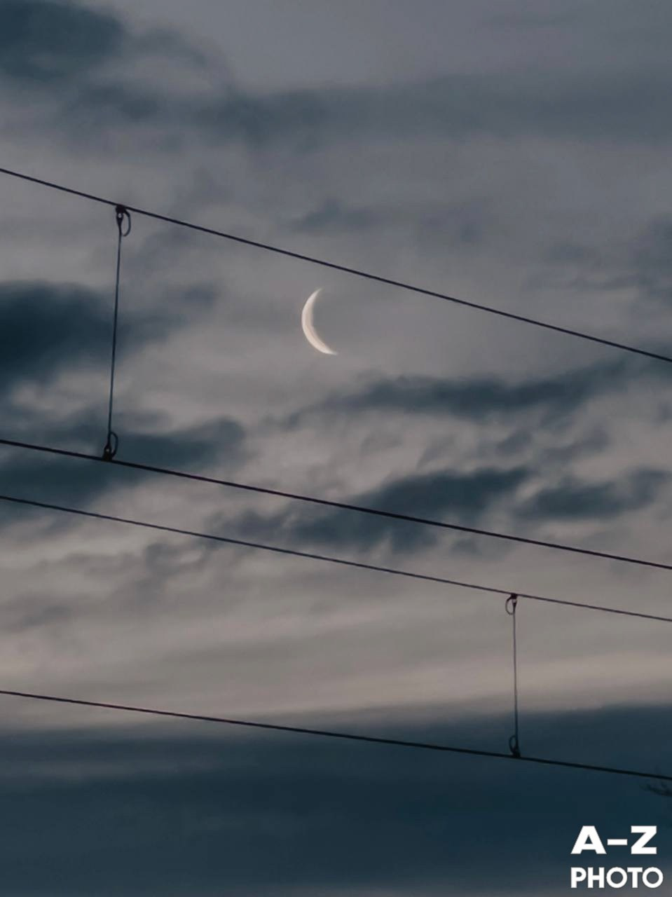 #ФОТОНЕДЕЛИ 15.02.2026. Женский семейный фотограф Тула Москва Захарова Анна