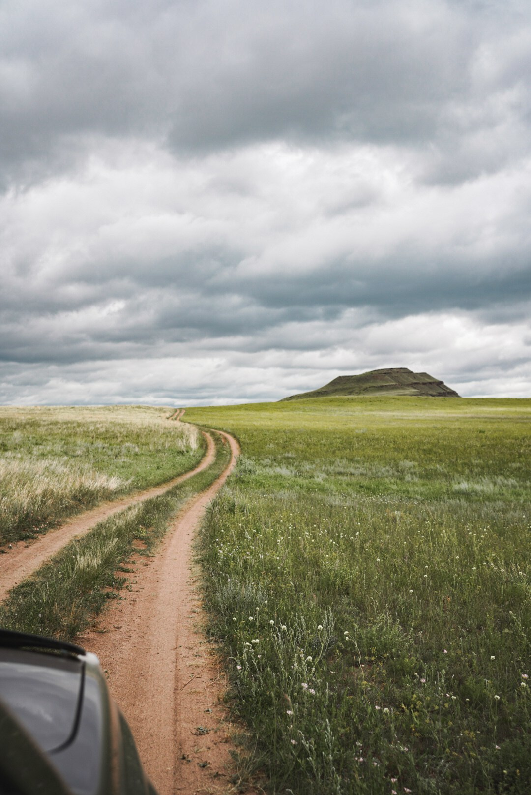Фотографии с озёр и степей Хакасии. Предметный фотограф Санкт-Петербург