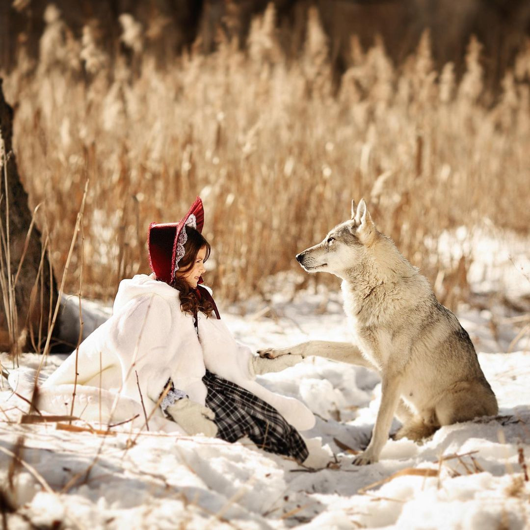 Guida Animali. Fotografa Elena Mikhailova