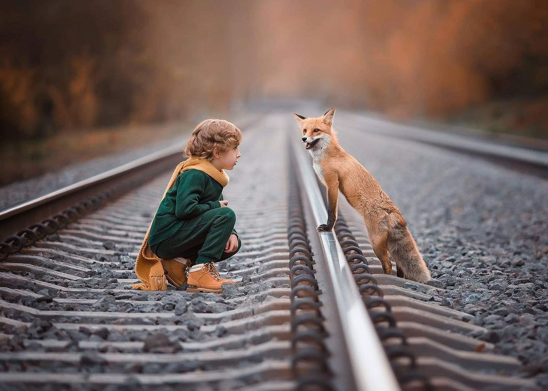 Guida Animali. Fotografa Elena Mikhailova