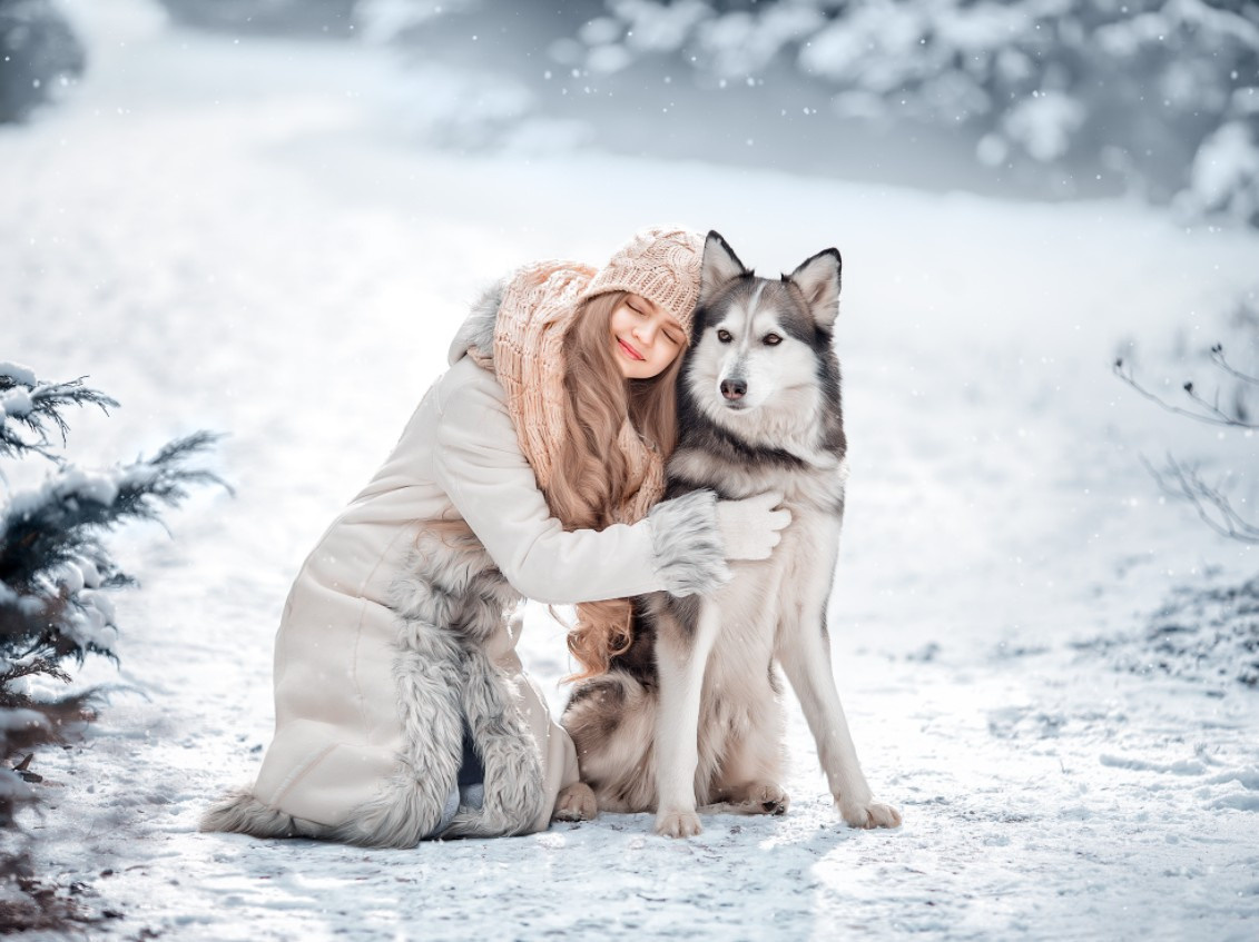 Guida Animali. Fotografa Elena Mikhailova