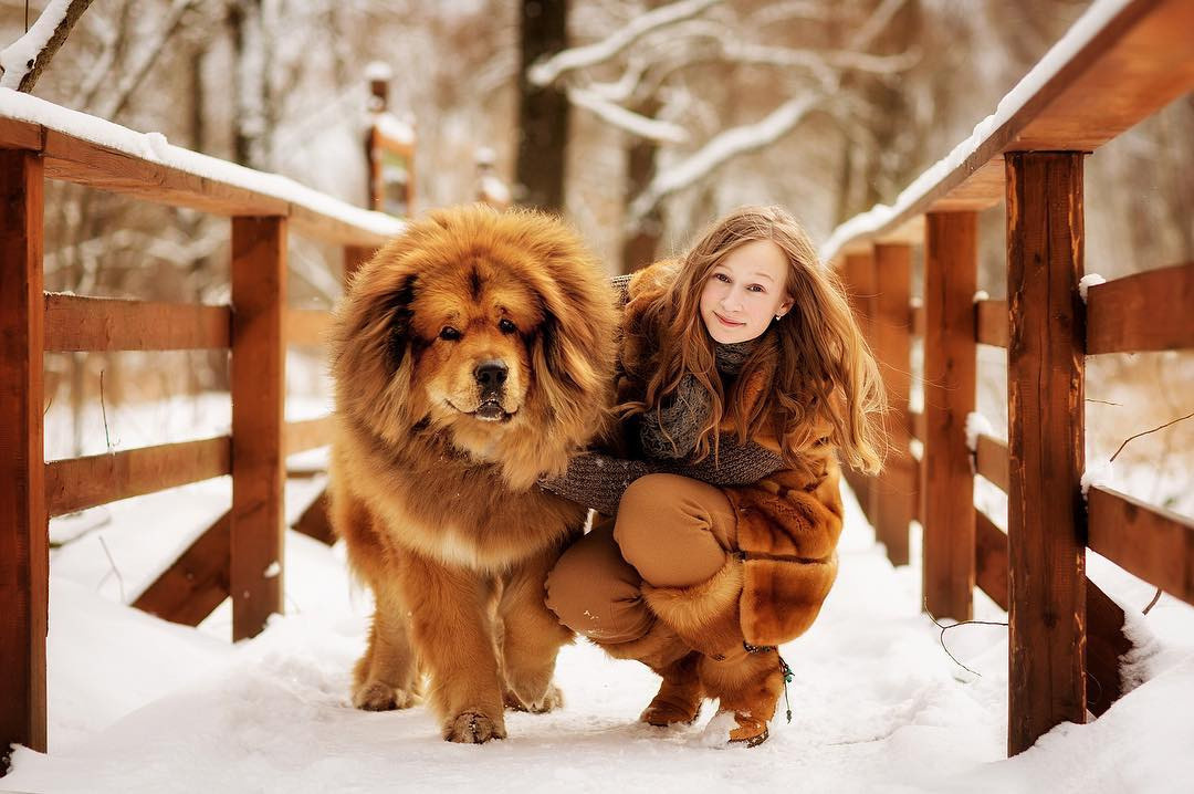 Guida Animali. Fotografa Elena Mikhailova