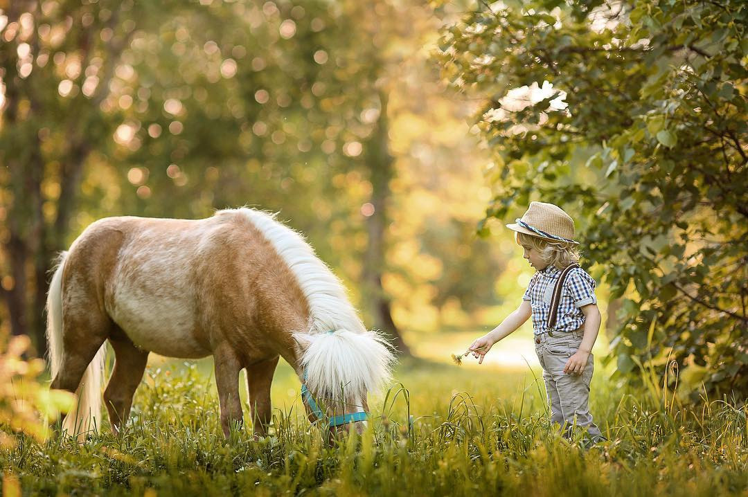 Guida Animali. Fotografa Elena Mikhailova