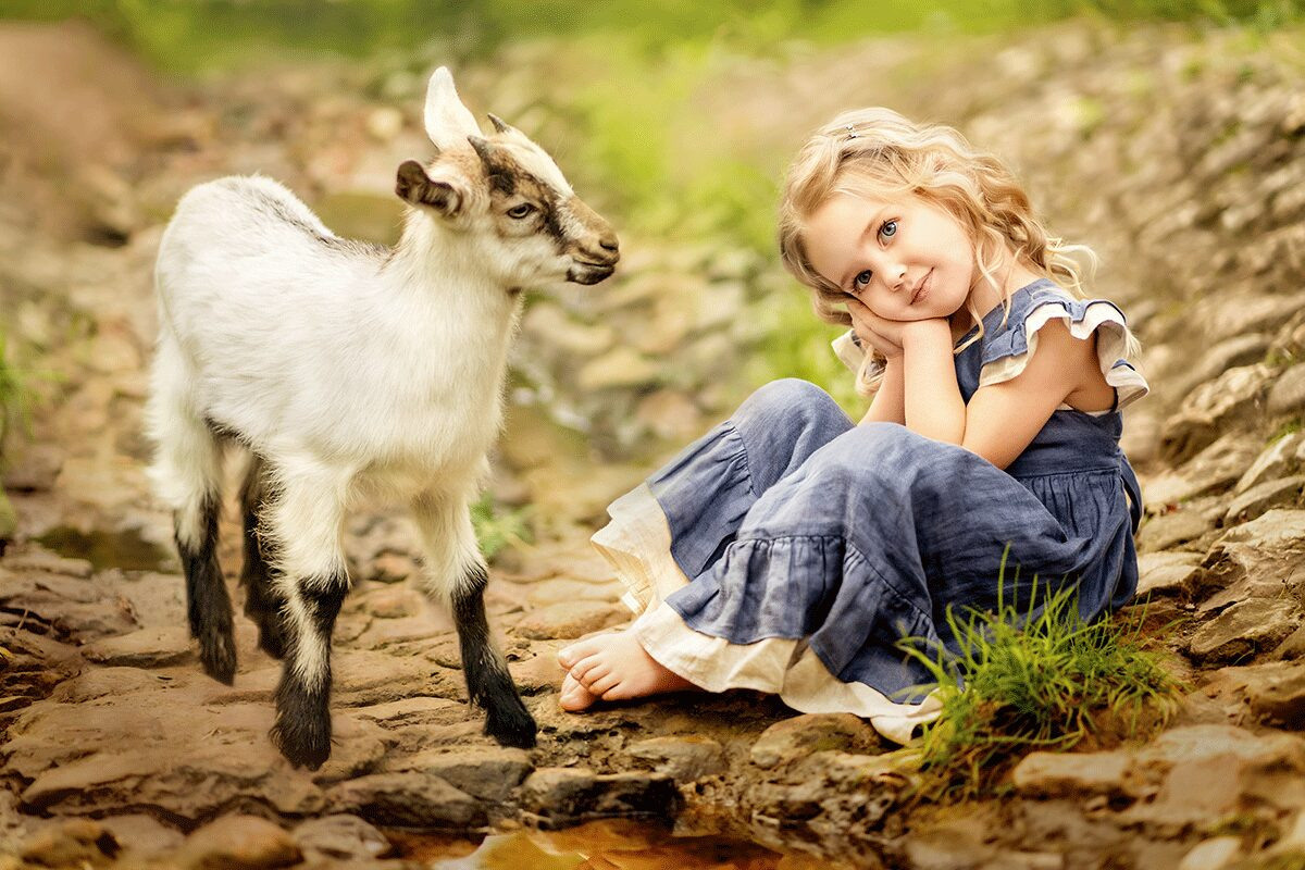 Guida Animali. Fotografa Elena Mikhailova