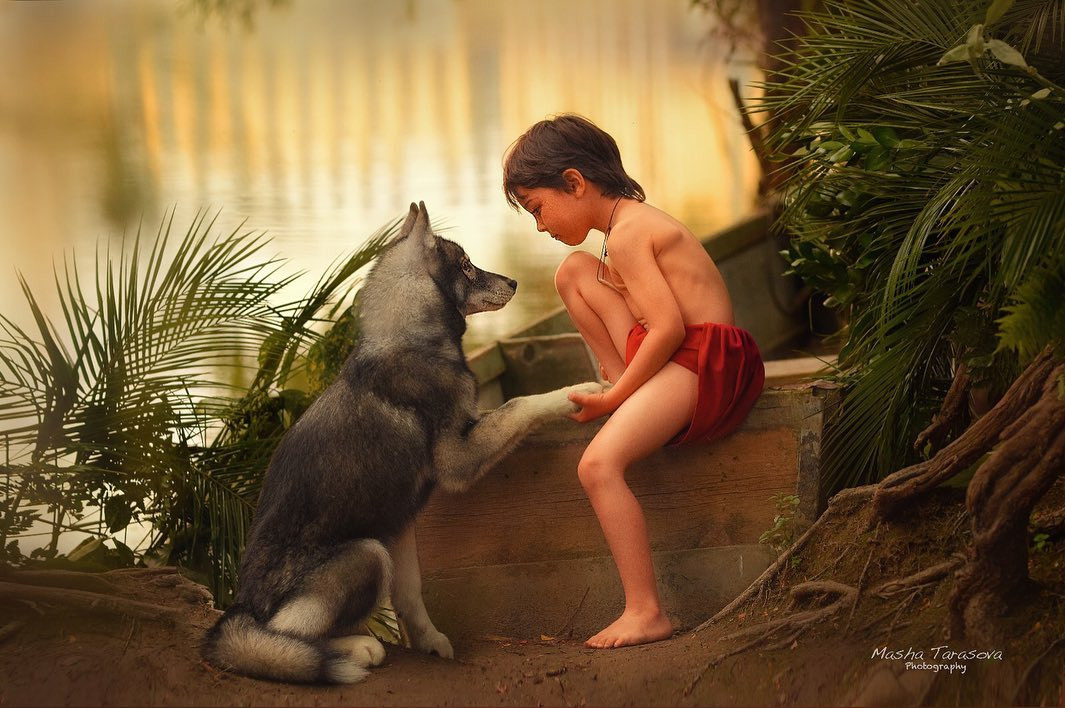 Guida Animali. Fotografa Elena Mikhailova