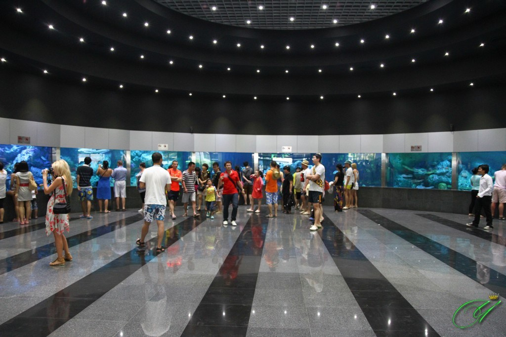 Тайланд. Пхукет 2013. Улица, люди, жизнь…