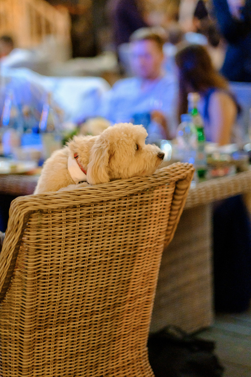 Артем и Анастасия. Организация и координация свадебных и семейных торжеств