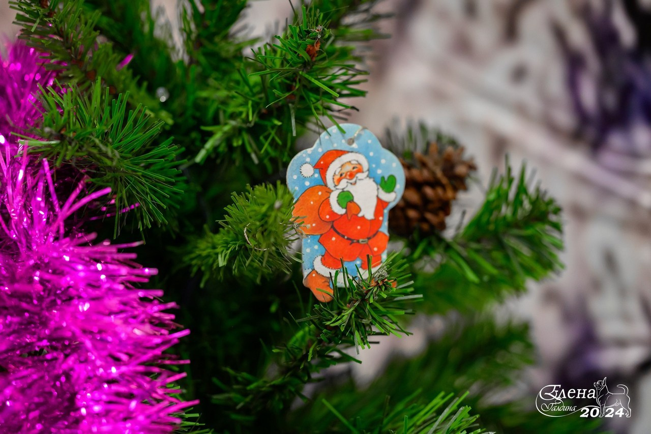 Отзывы. Фотограф анималист Елена Галдина г. Красноярск