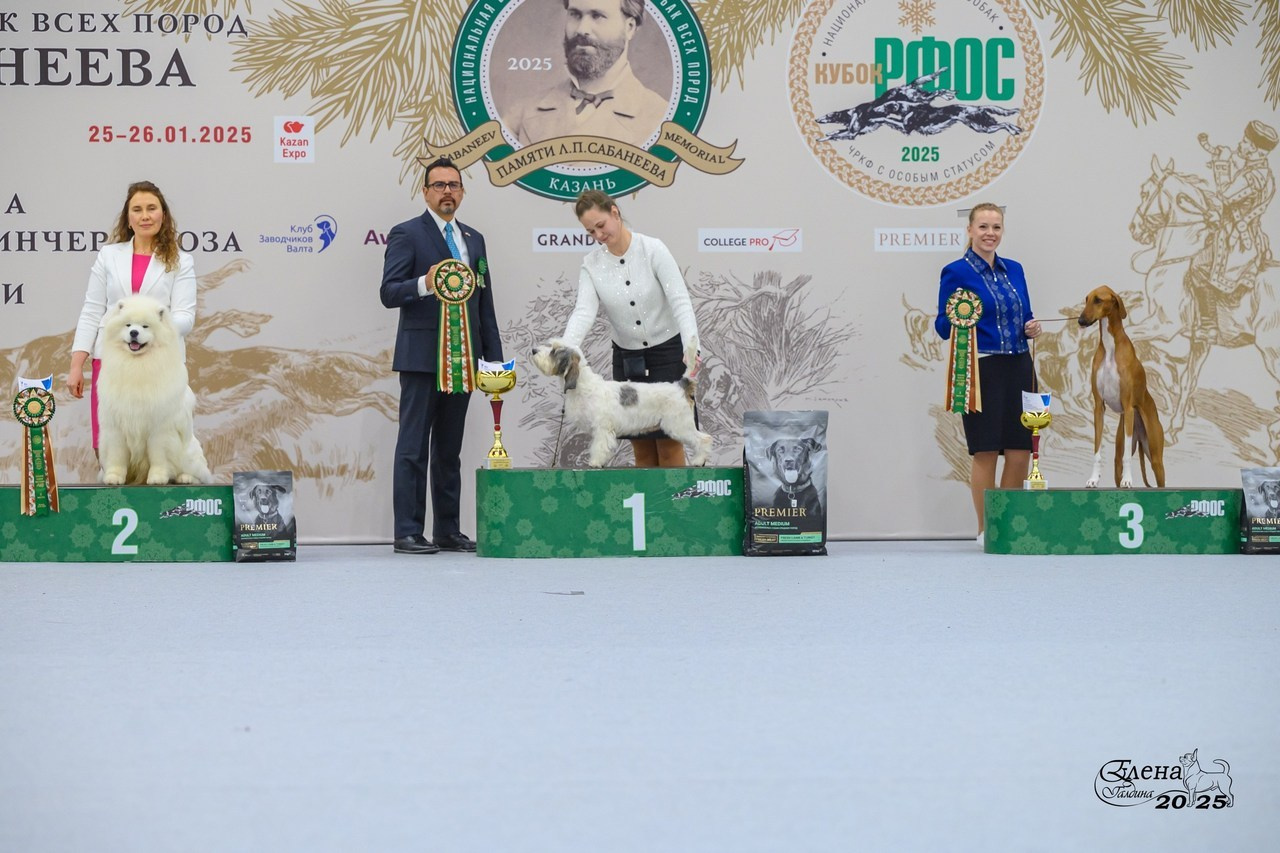 Отзывы. Фотограф анималист Елена Галдина г. Красноярск