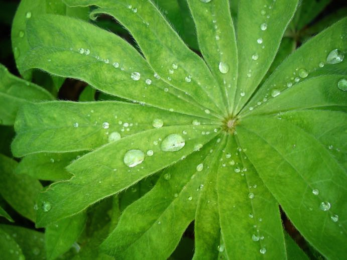 Самые первые мои фотографии. Елена Берсенева, фотограф