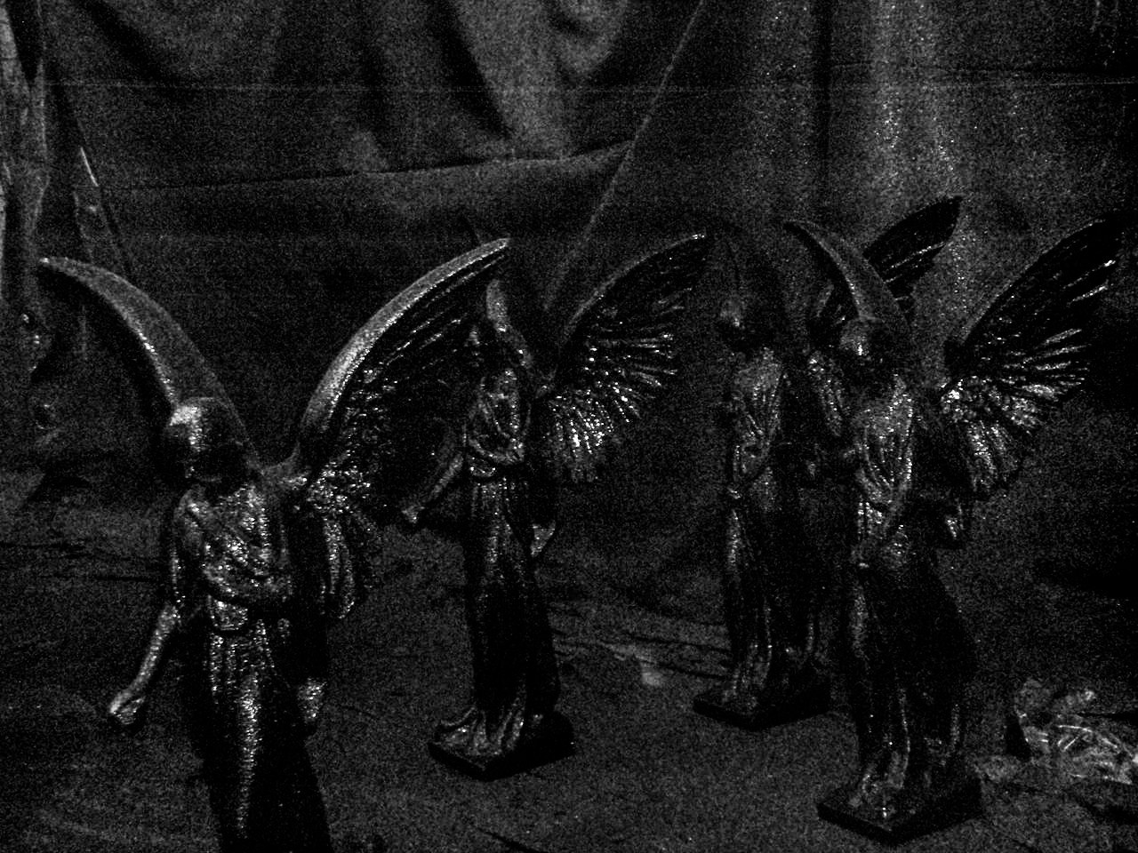 Olimpus m840. Анна Мильч