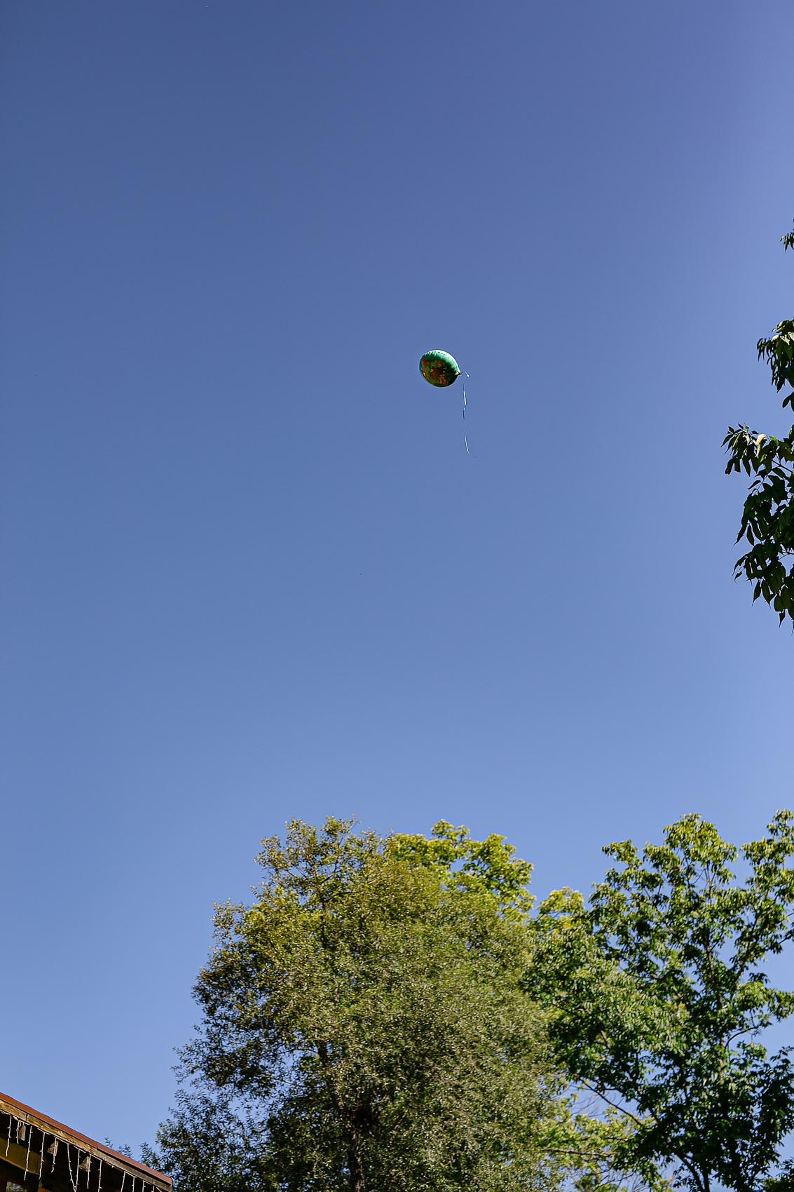 Детский день рождения г Владивосток. Владивосток семейный фотограф Александр Степанов