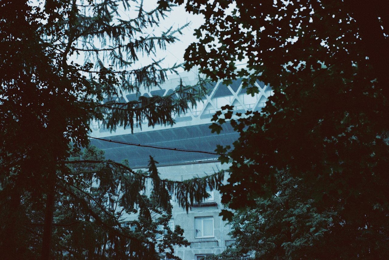 Фотоплёнка. Фотограф Михаил Мирущенко