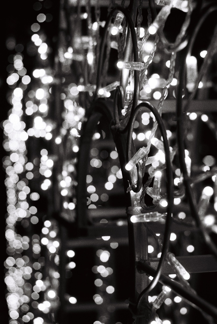 Фотоплёнка. Фотограф Михаил Мирущенко