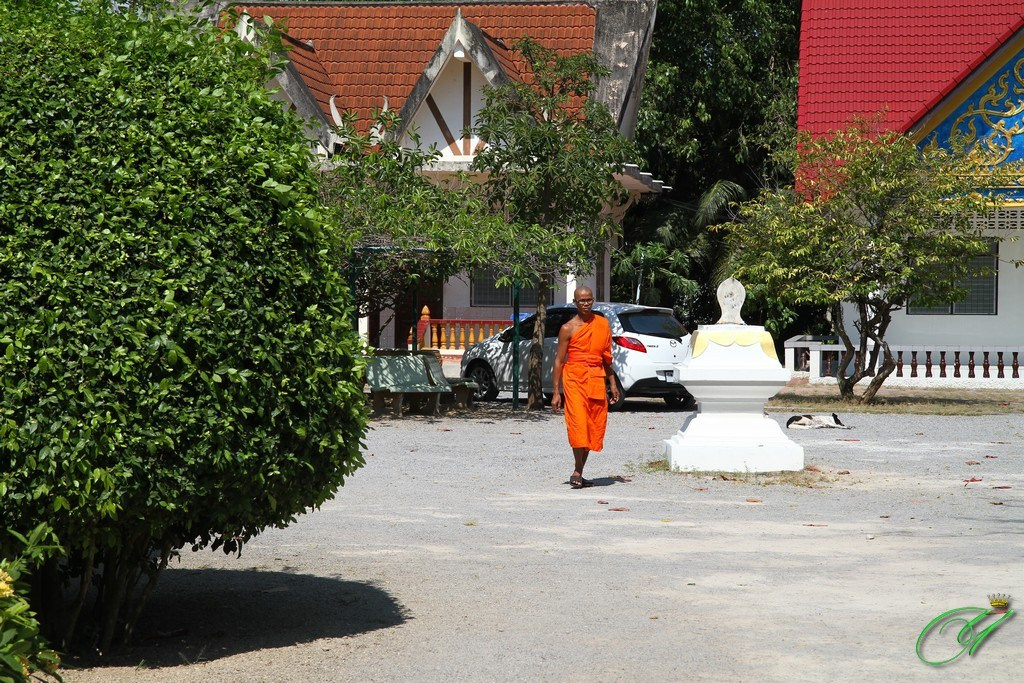 Тайланд. Пхукет 2013. Улица, люди, жизнь…