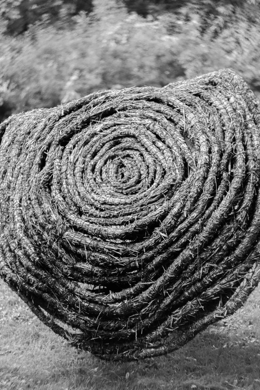 Аптекарский огород. Софа Катастрофа, Одичание. фотохудожница, креативный продюсер, автор. Nude, eros, портретный фотограф