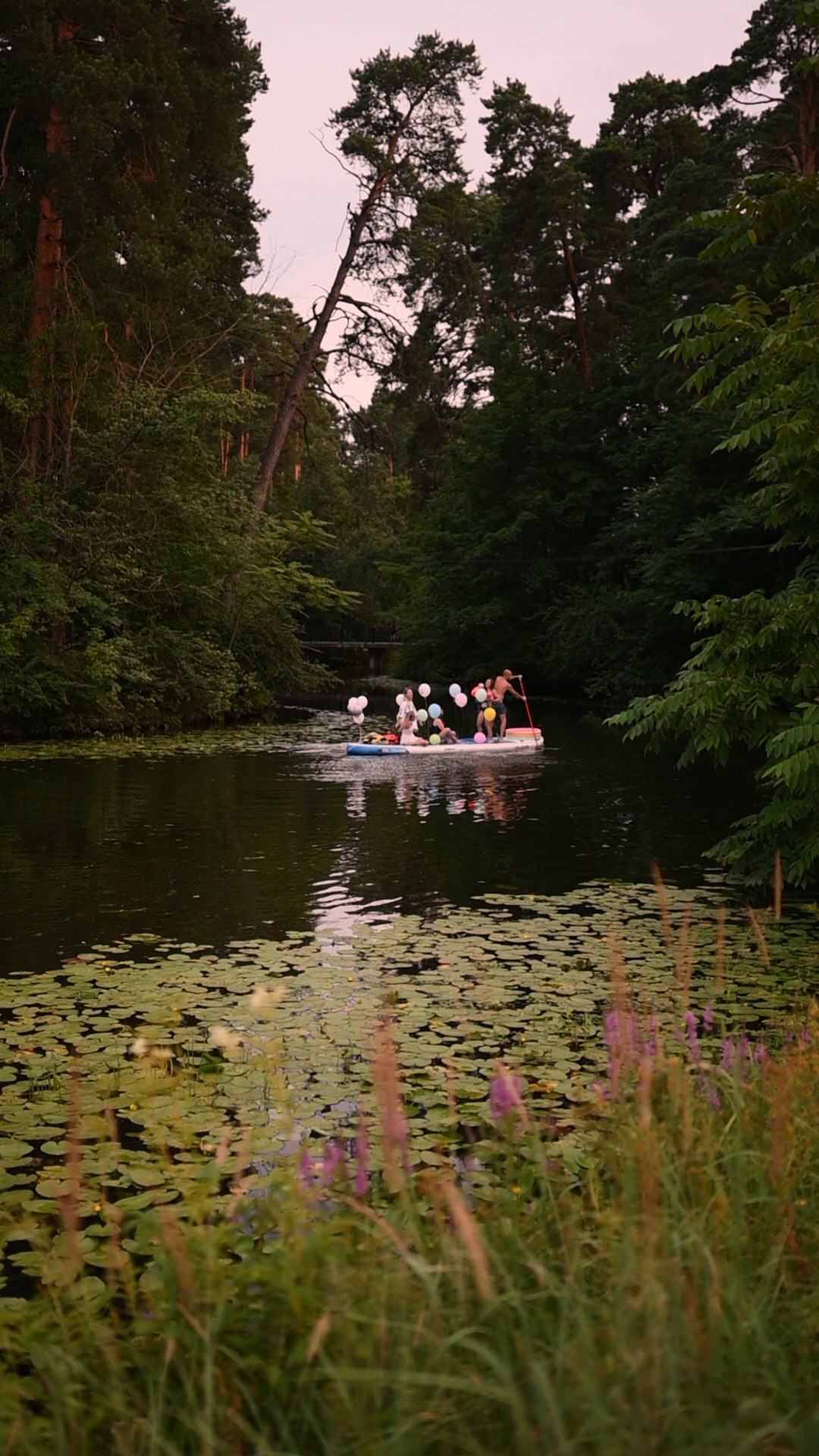 Алена ДР. Главная