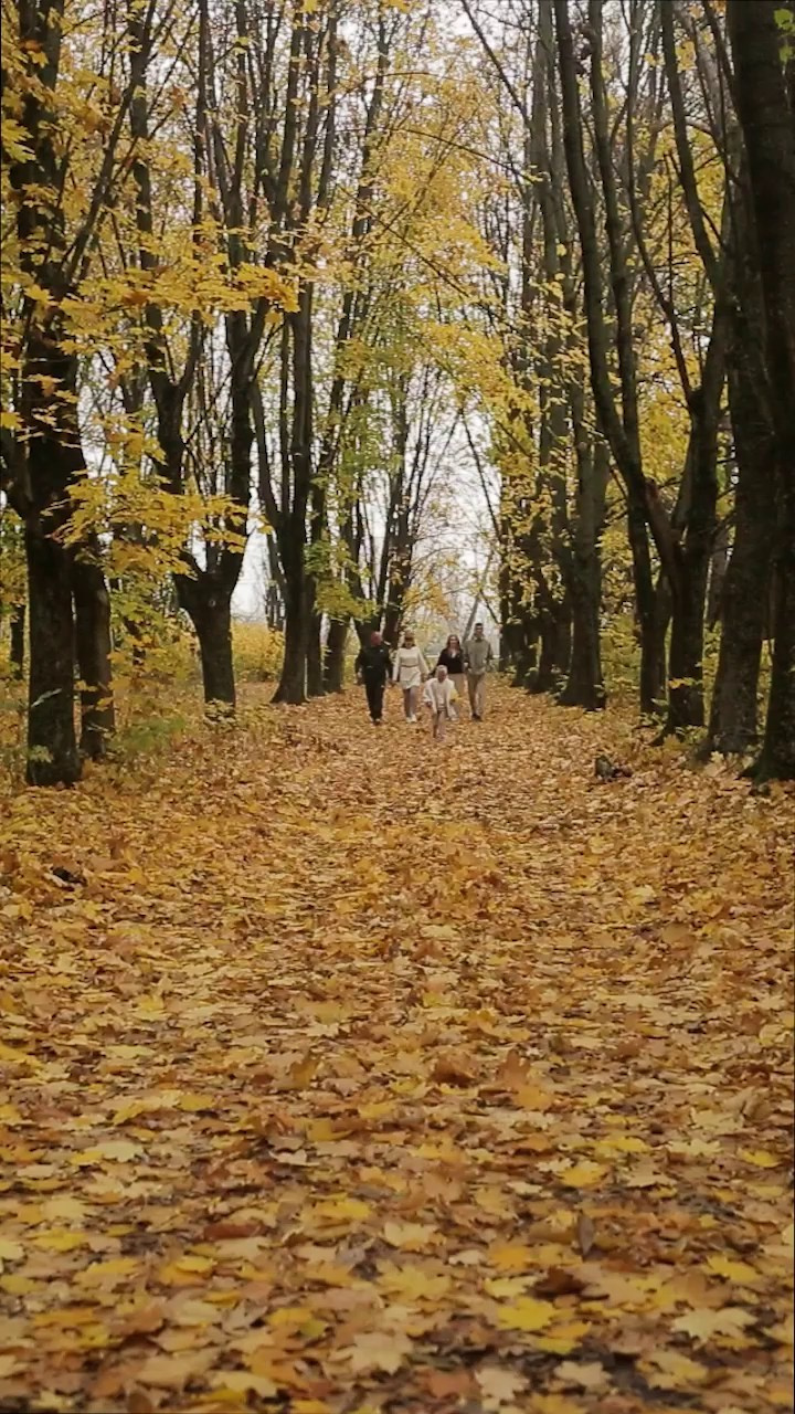 Лена, Леша, Даня, Даша, Лера в роще. Детский и семейный фотограф и видеограф, Краснодар