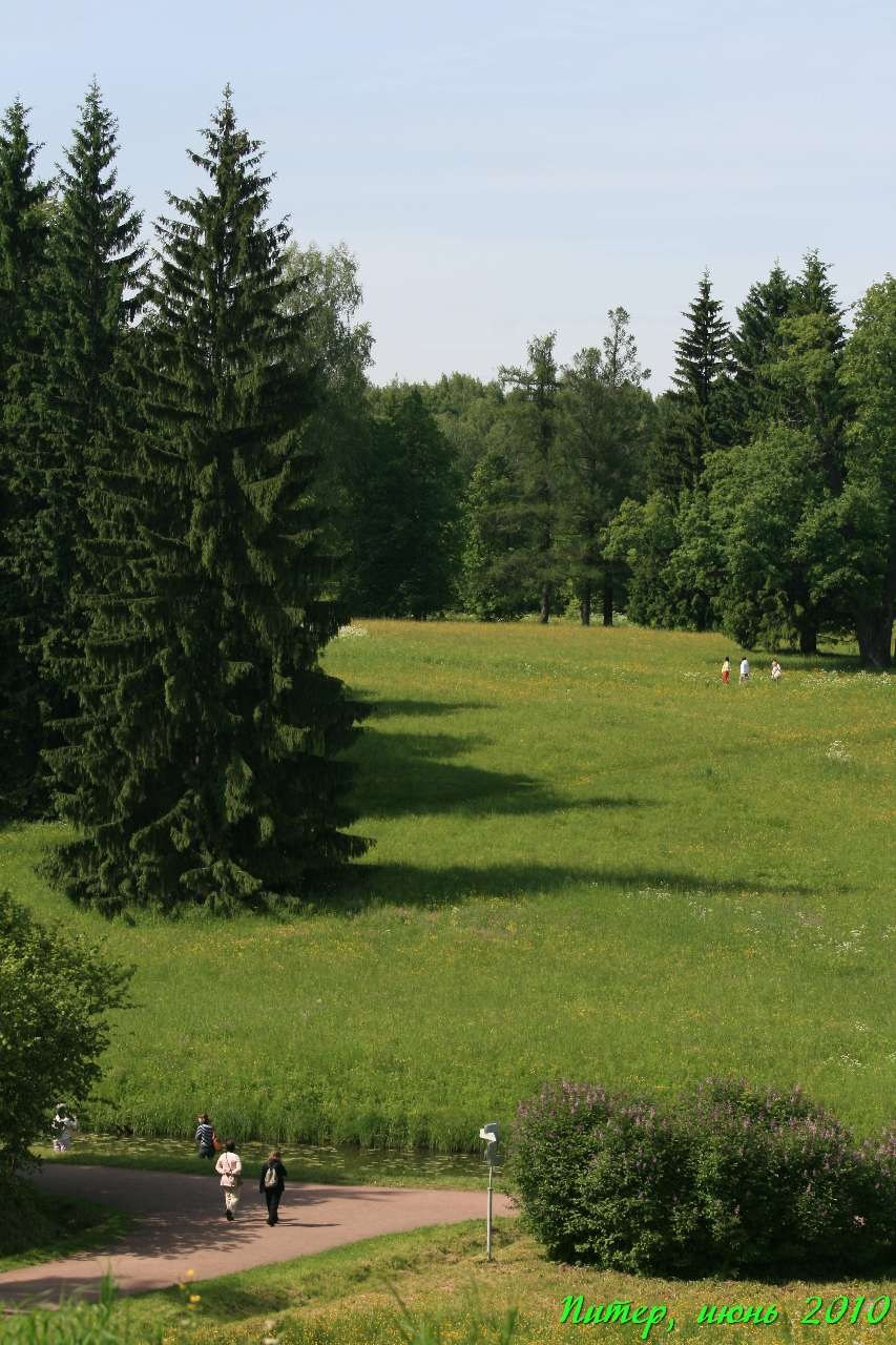 Питер 2010 г. Улица, люди, жизнь…