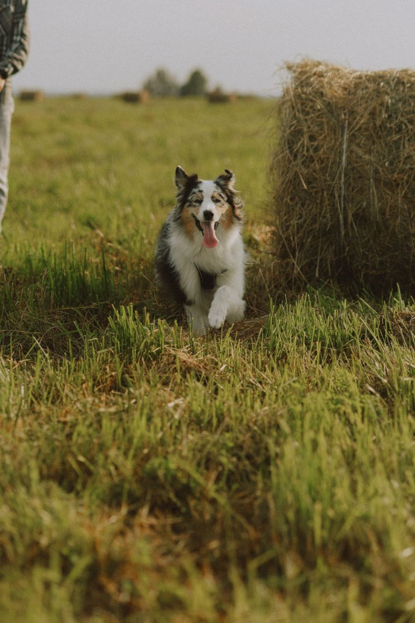 Love story. Атмосферный фотограф Москва