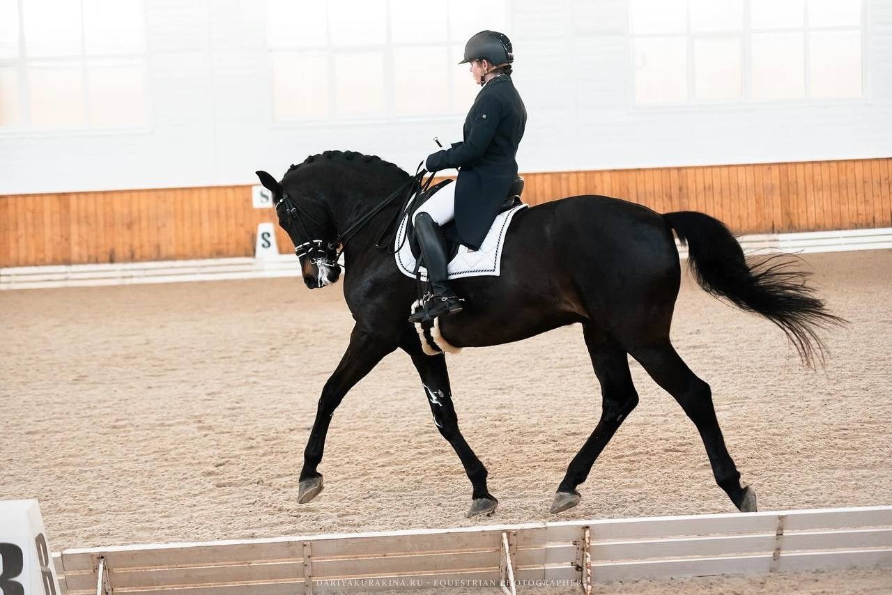 Открытые соревнования по выездке в КСК «Конкорд». Конный фотограф Куракина Дарья • Фотосессии с лошадьми