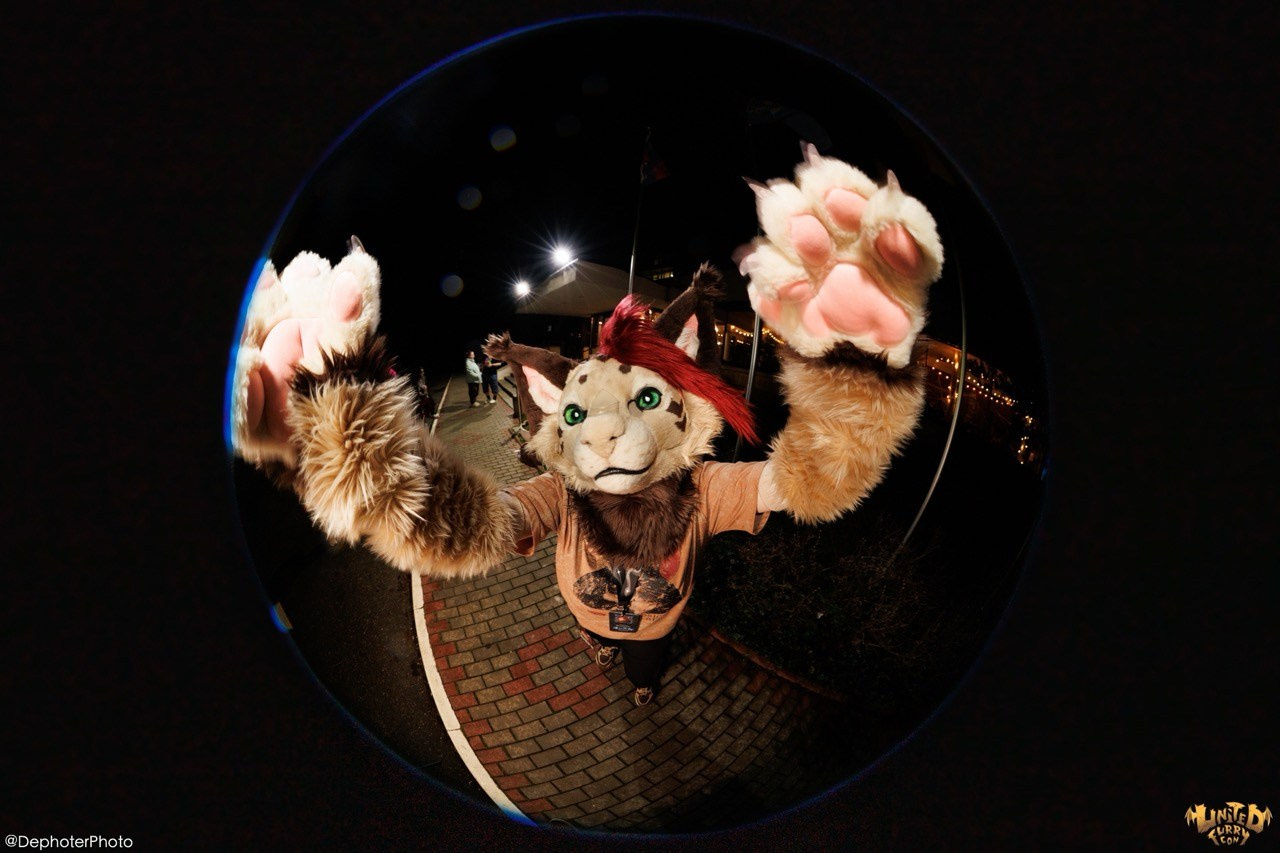 United Furry Convention 2026. Различные мероприятия и просто фотографии людей