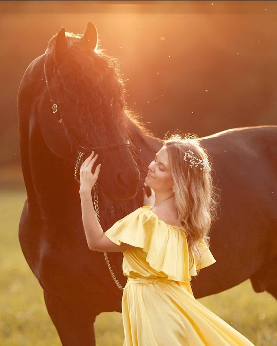Фотосессии с лошадьми. Фотосессии с лошадьми в Москве от Конный фотографа Кутейниковой Светланы