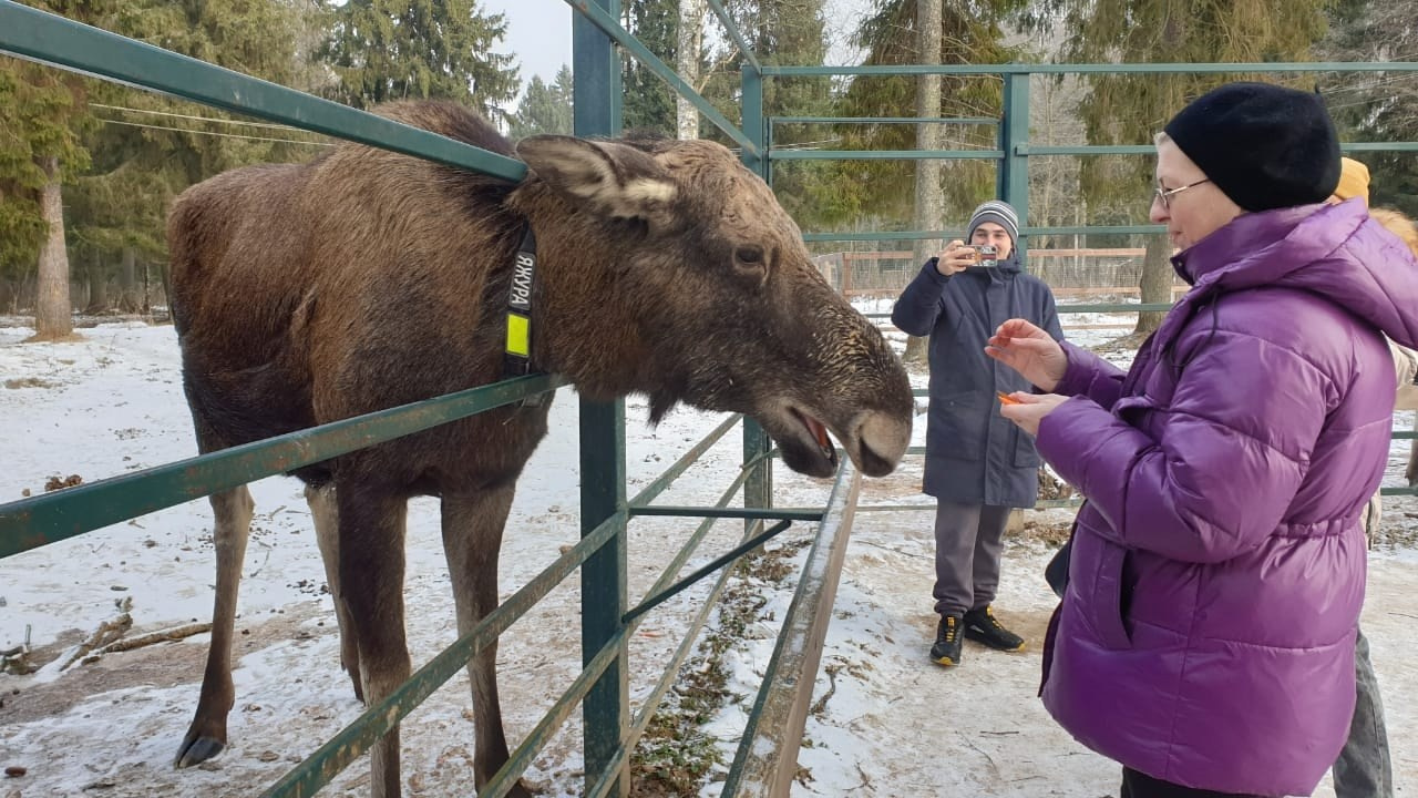Кострома | 08-09.02.2025. Галерея Фантим