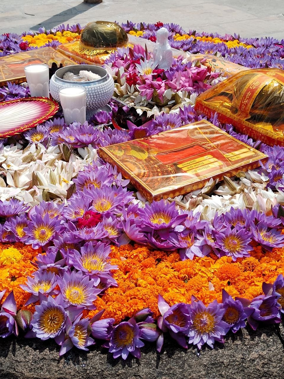 Шри-Ланка | 31.01 — 10.02.2025. Галерея Фантим