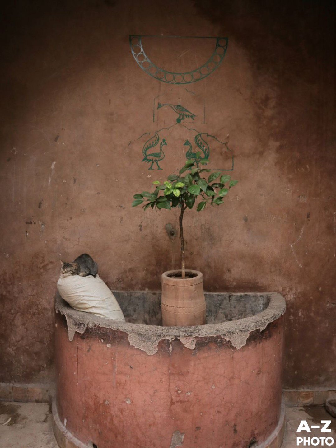 Фото недели AZPHOTO 24.11.2025. Женский семейный фотограф Тула Москва Захарова Анна