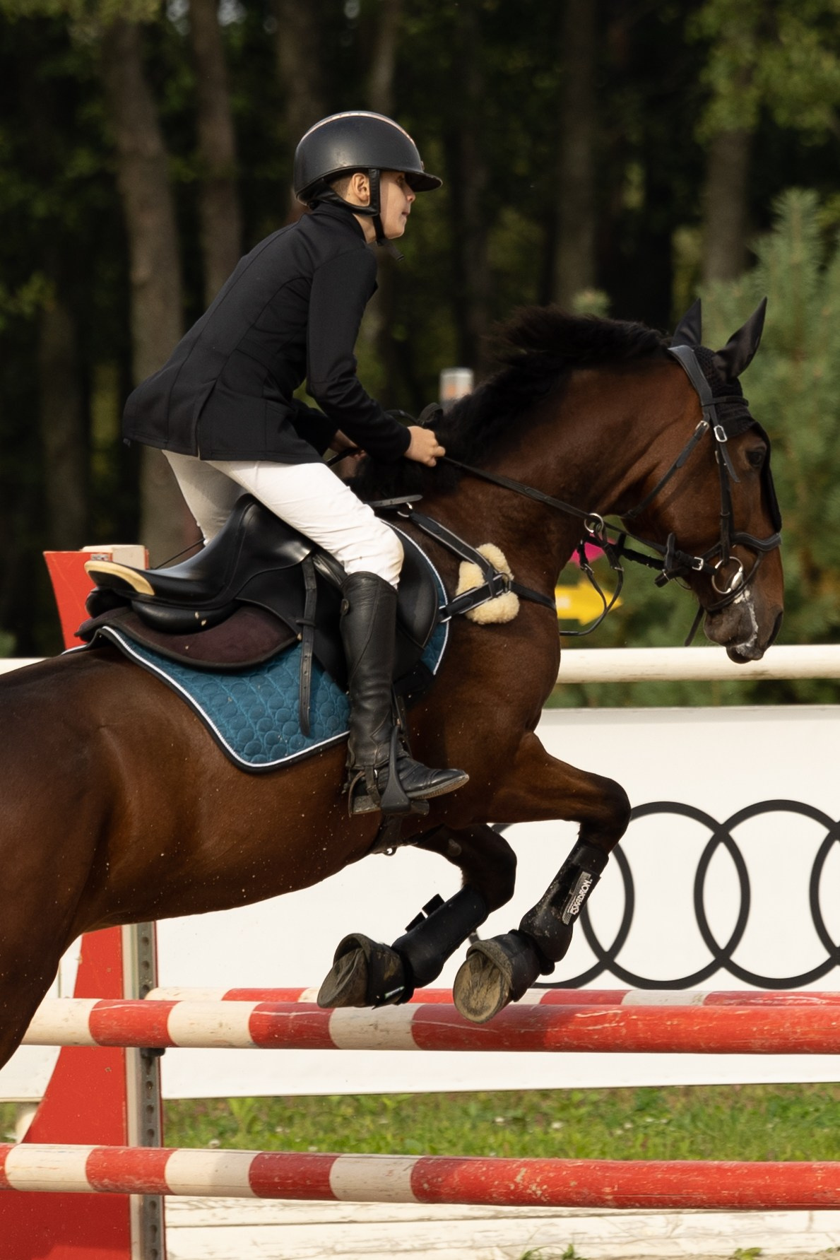 Соревнования по конкуру. Фотограф в Москве Светлана Богначева