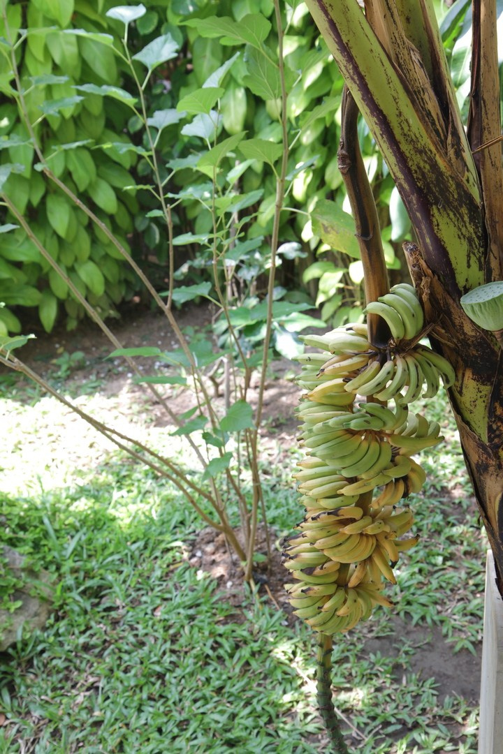 Тайланд 2014 г. Улица, люди, жизнь…