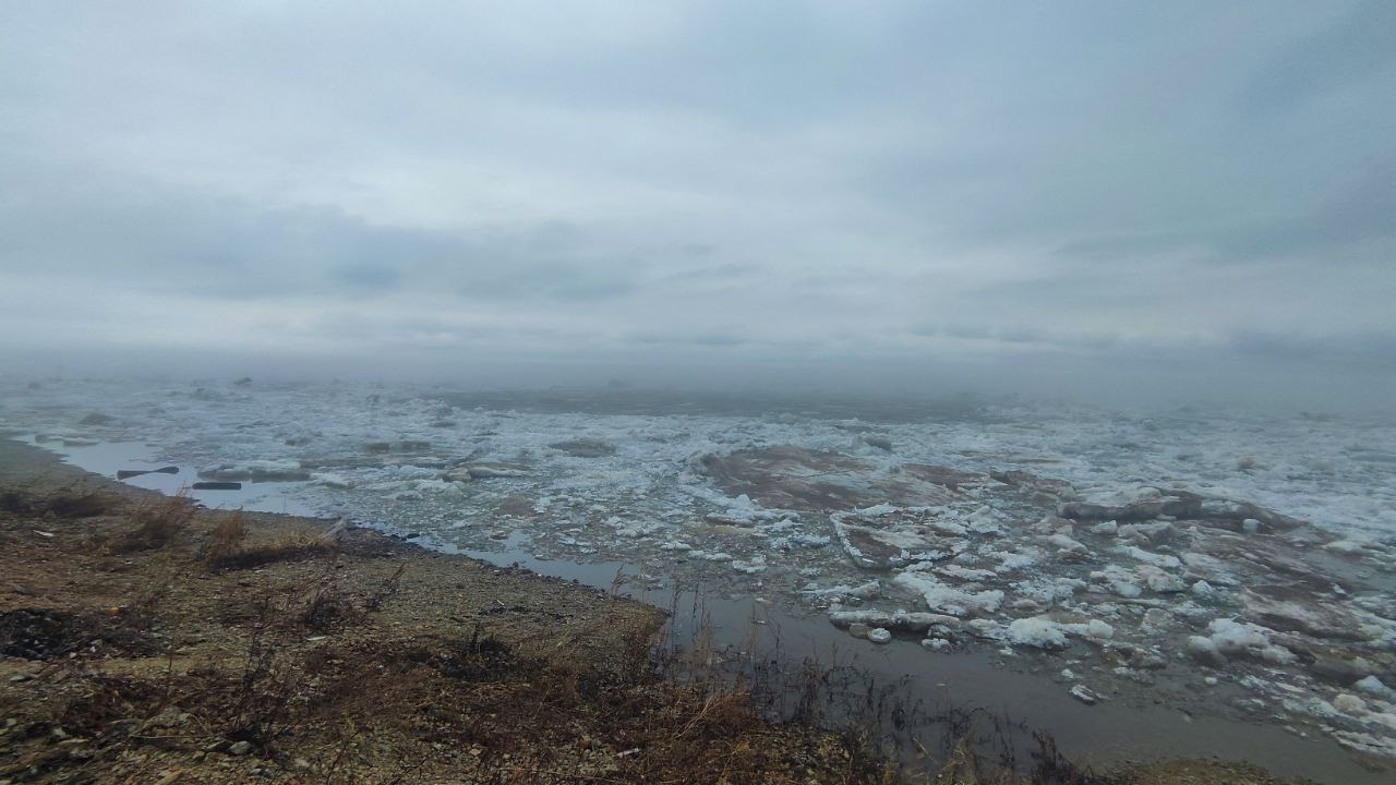 дачи, город, архитектура, стрит, репортажная фотография, фотография, Хабаровск, фотосессия, фотограф, дом, новостройка, улицы, жизнь города, town, art, photo, photographer, photo, Khabarovsk, Far East, street photo, природа, Дальний Восток, тайга, цветы, закат, небо, облака, nature, clouds, forest, flower, sunset