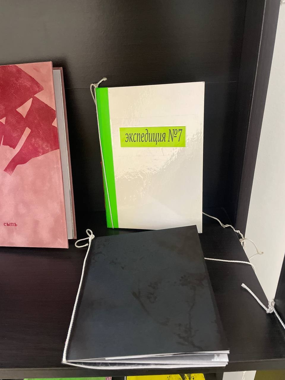 Групповая выставка DARK MATTER, 07-17.12.2024 галерея ONKAF, в Нью-Дели. Лера Круглова