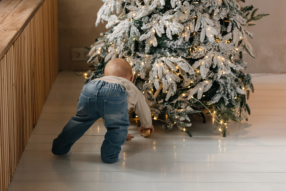 Новый год. Фотограф Подсумкина Ирина