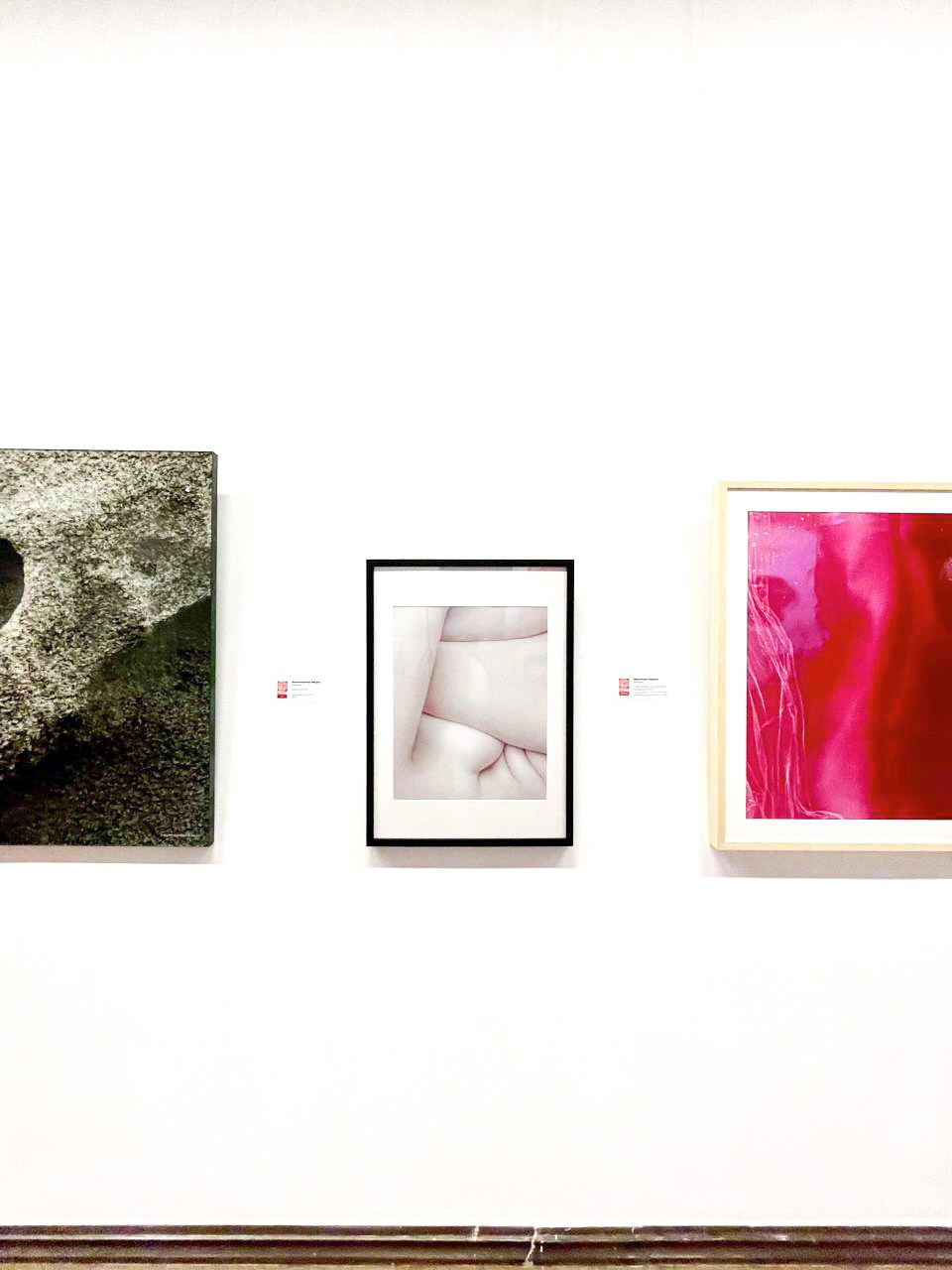 Выставки. Колесникова Мария Арт-фотограф