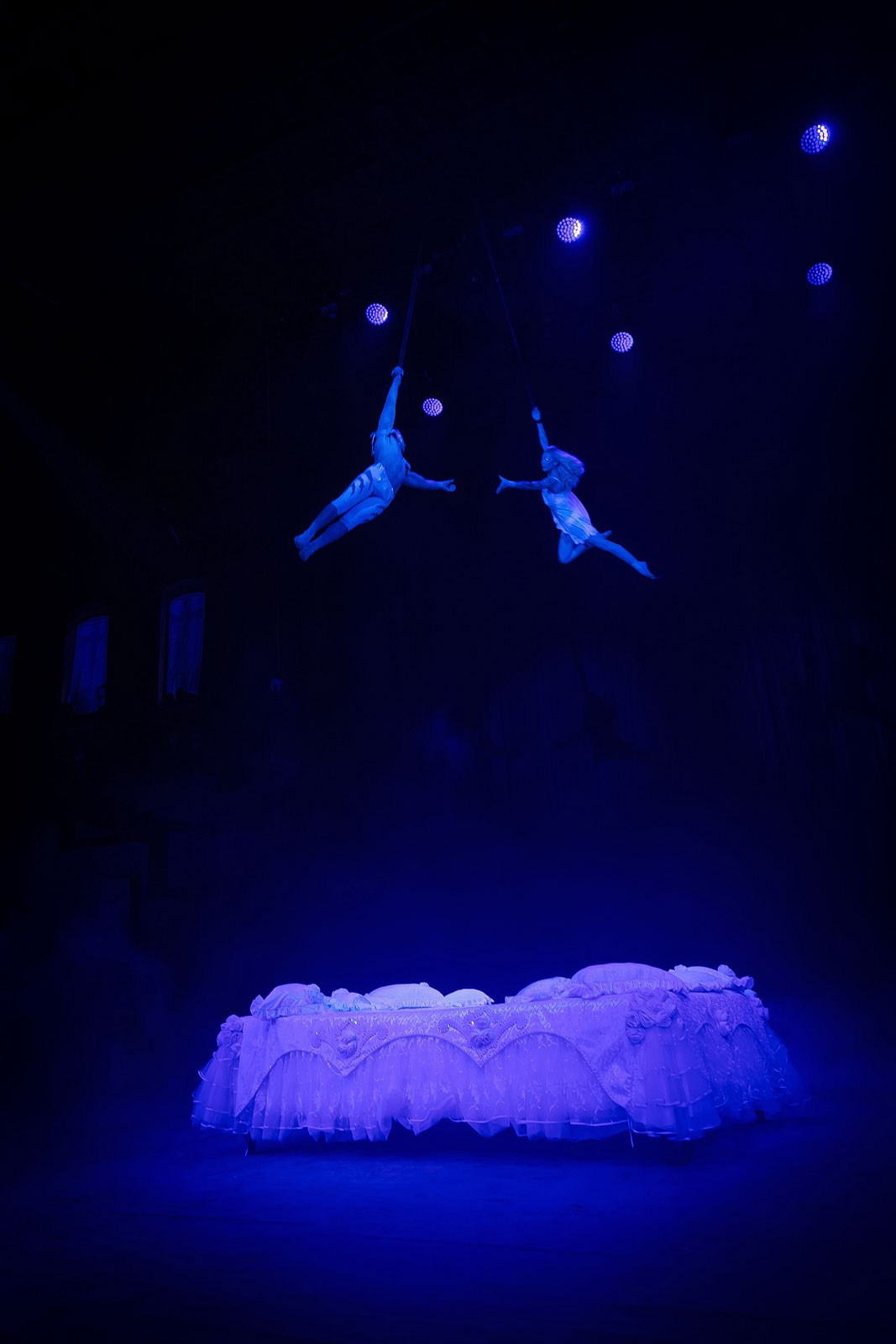 ЦИРК. Фотограф и видеограф для бизнеса в Москве — фуд, рестораны, интерьер, контент | Sizov Studio