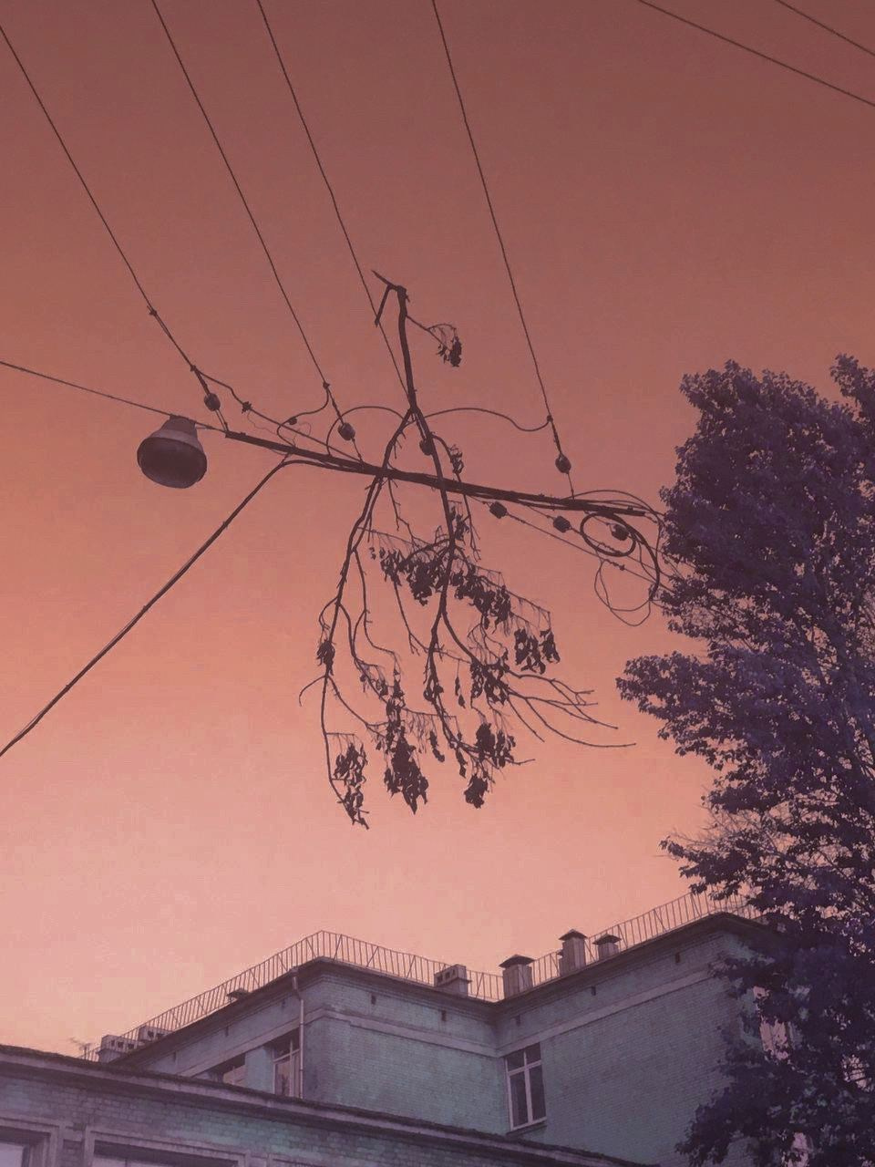 Street. Костюмер, художник кино и телевидения в спб