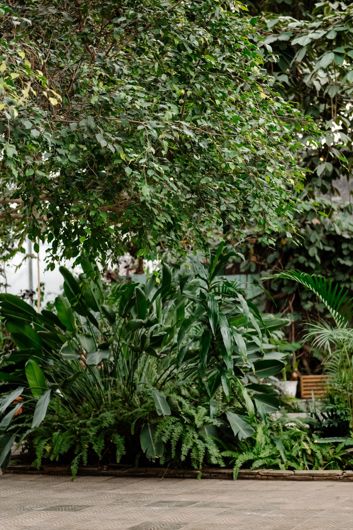 В Оранжерее. Свадебный и сеейный фотограф в Санкт-Петербурге Елена Худякова