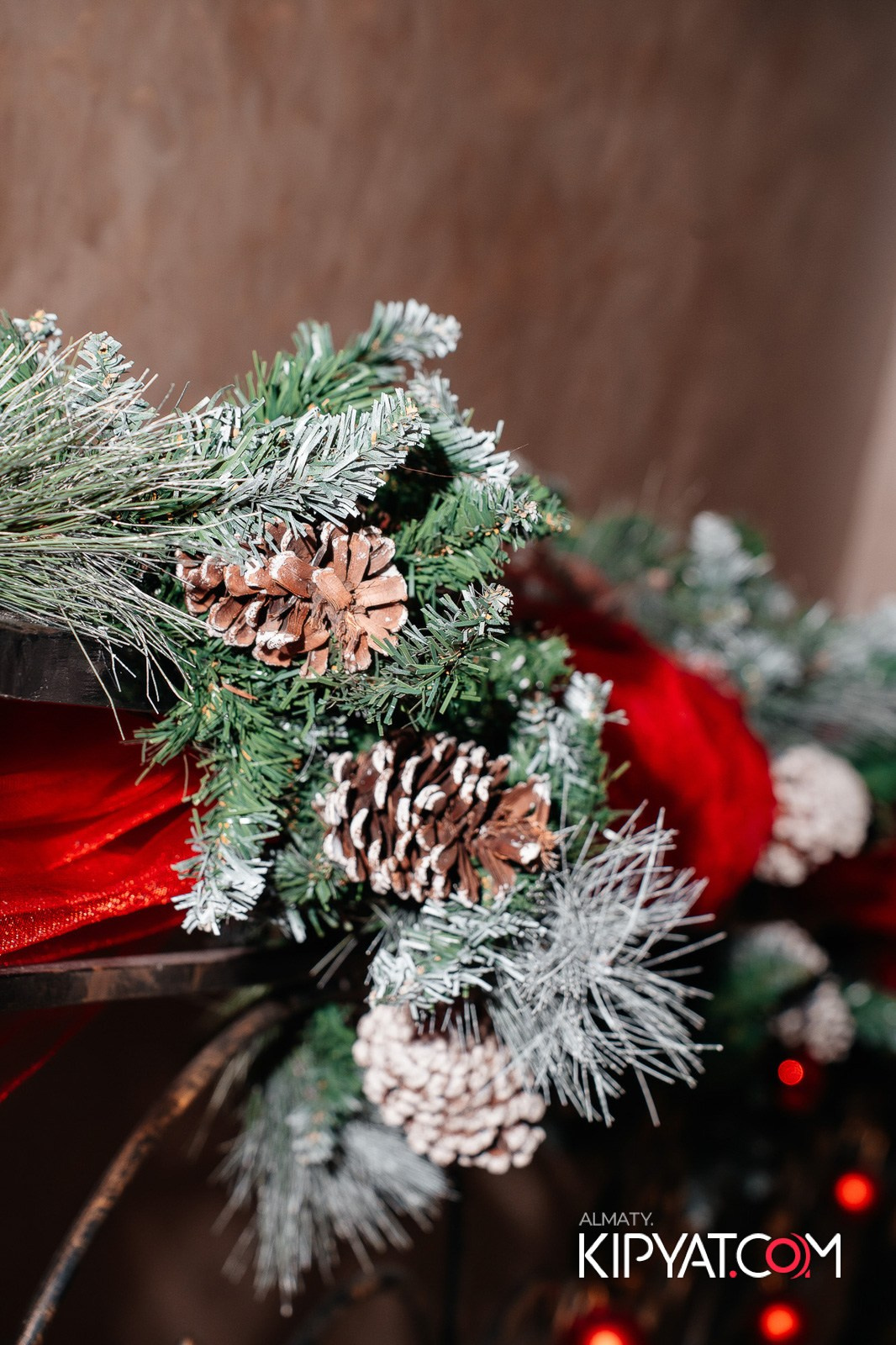 УХО И МЕДВЕДЬ НА КУРМАНГАЗЫ. КИПЯТКОМ АЛМАТЫ!