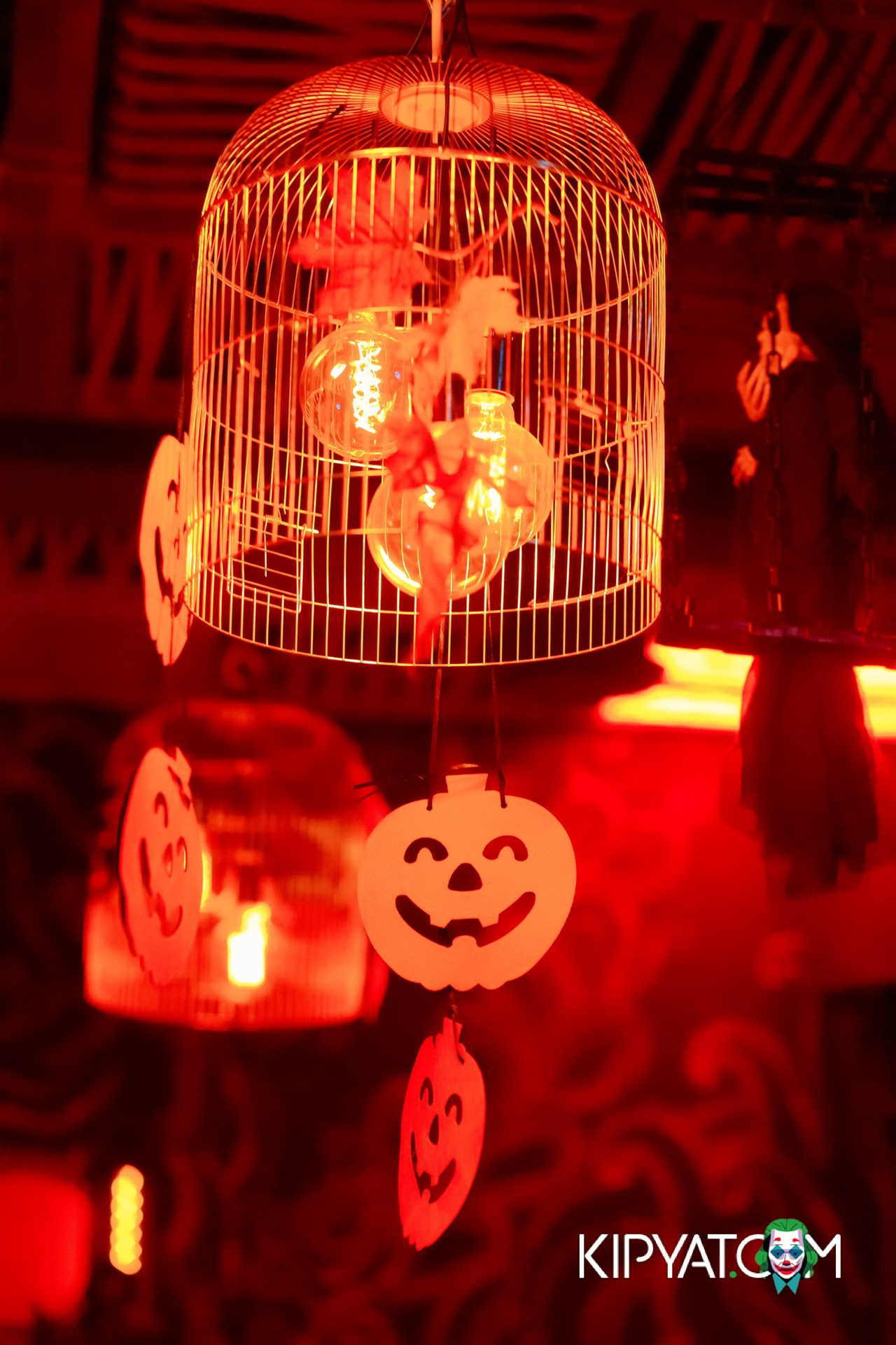 VICTORY AND MEXICAN WILD. КИПЯТКОМ АЛМАТЫ!