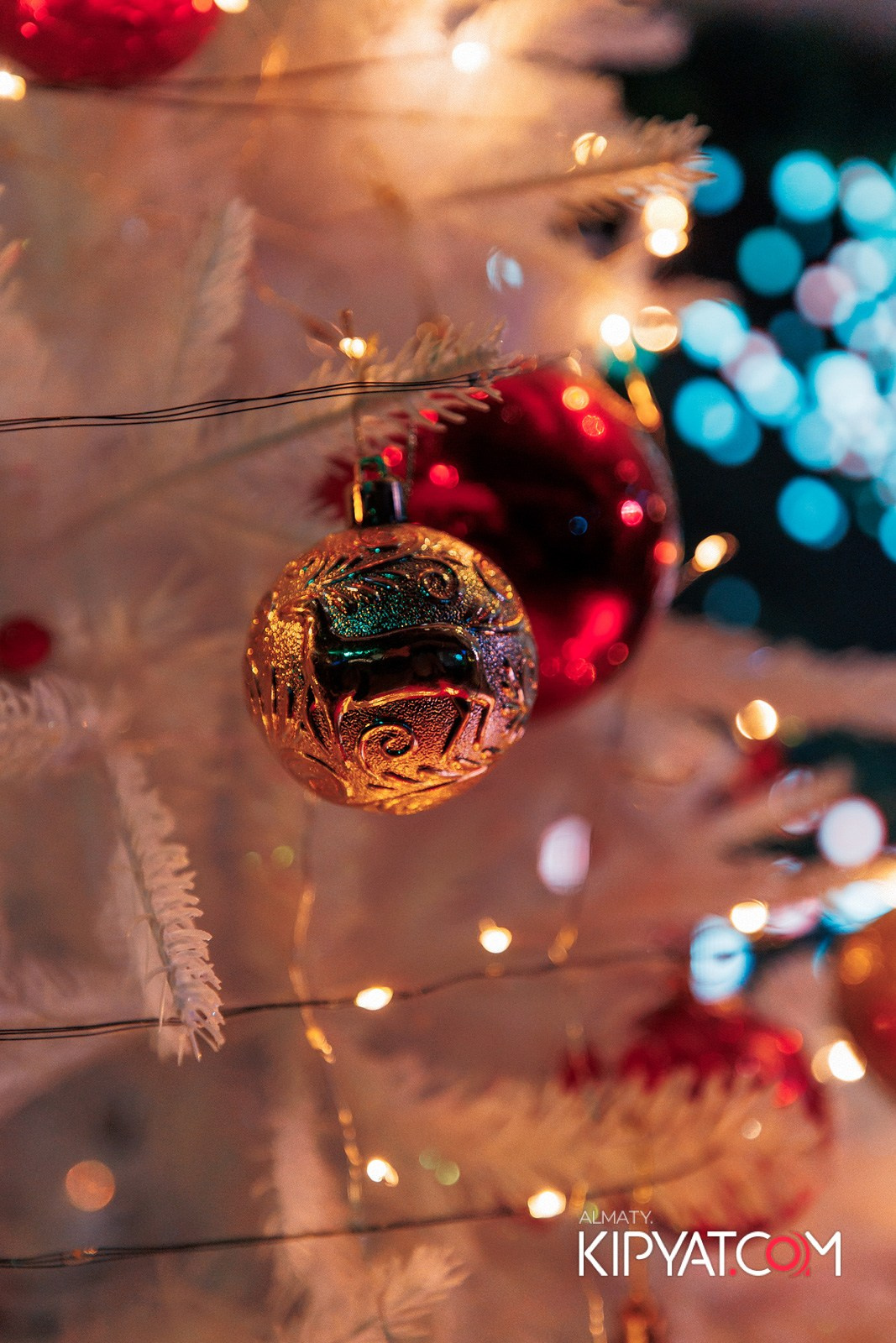 УХО И МЕДВЕДЬ НА КУРМАНГАЗЫ. КИПЯТКОМ АЛМАТЫ!