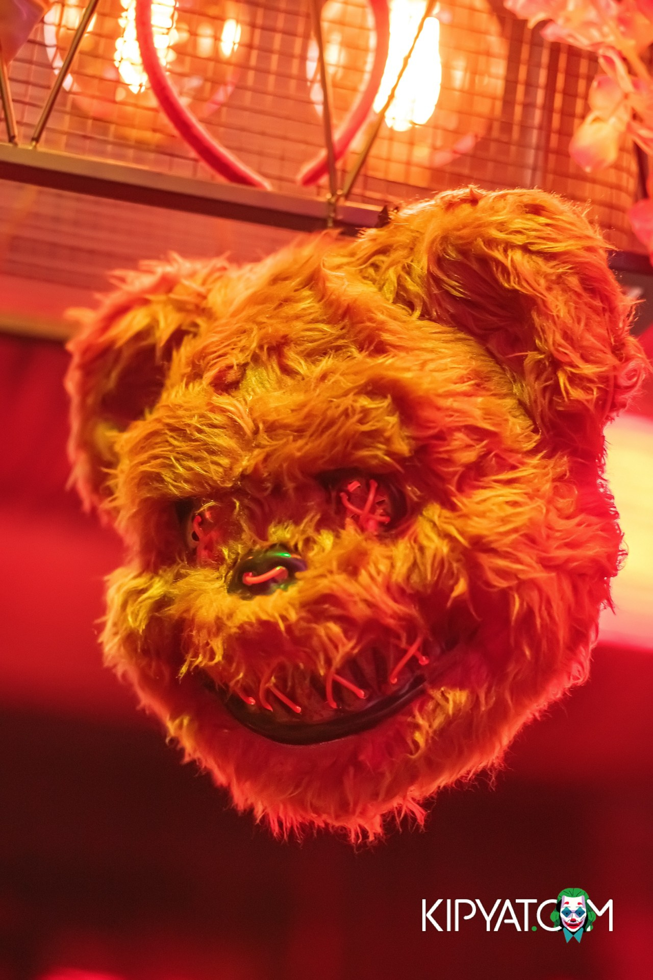 VICTORY AND MEXICAN WILD. КИПЯТКОМ АЛМАТЫ!