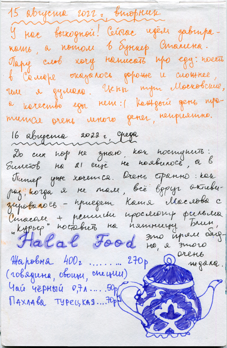 Самарский дневник. Екатерина Подлеснов