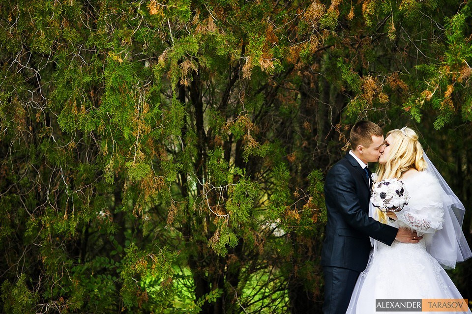 WEDDING. Главная