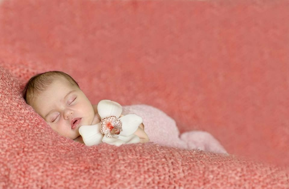 Малыши. Главная