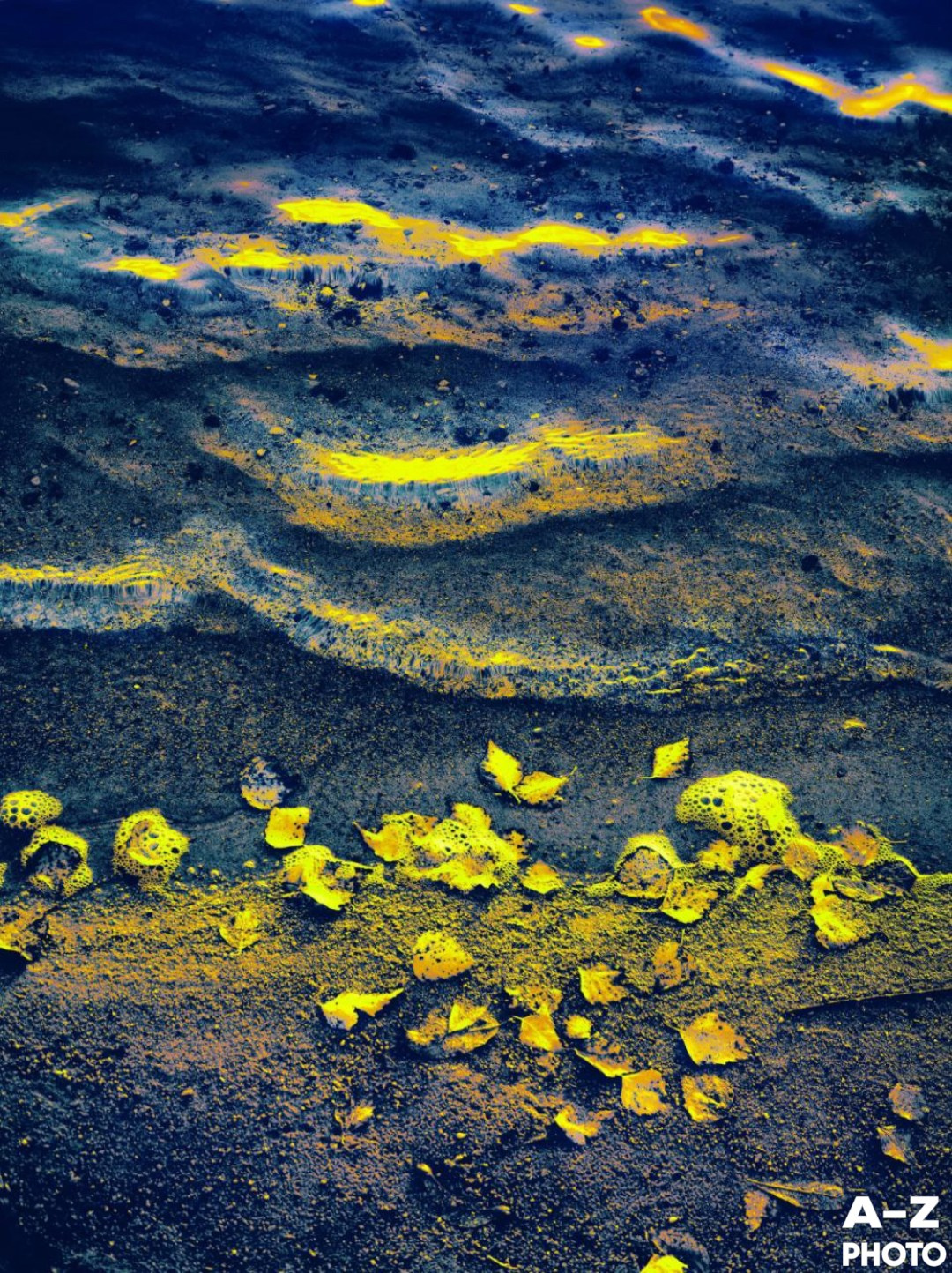 Фото недели AZPHOTO 24.11.2025. Женский семейный фотограф Тула Москва Захарова Анна