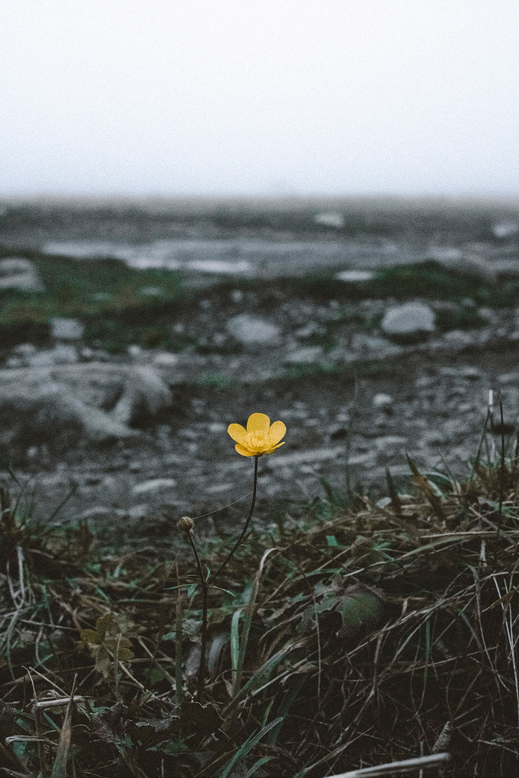 Prints. North Ossetia