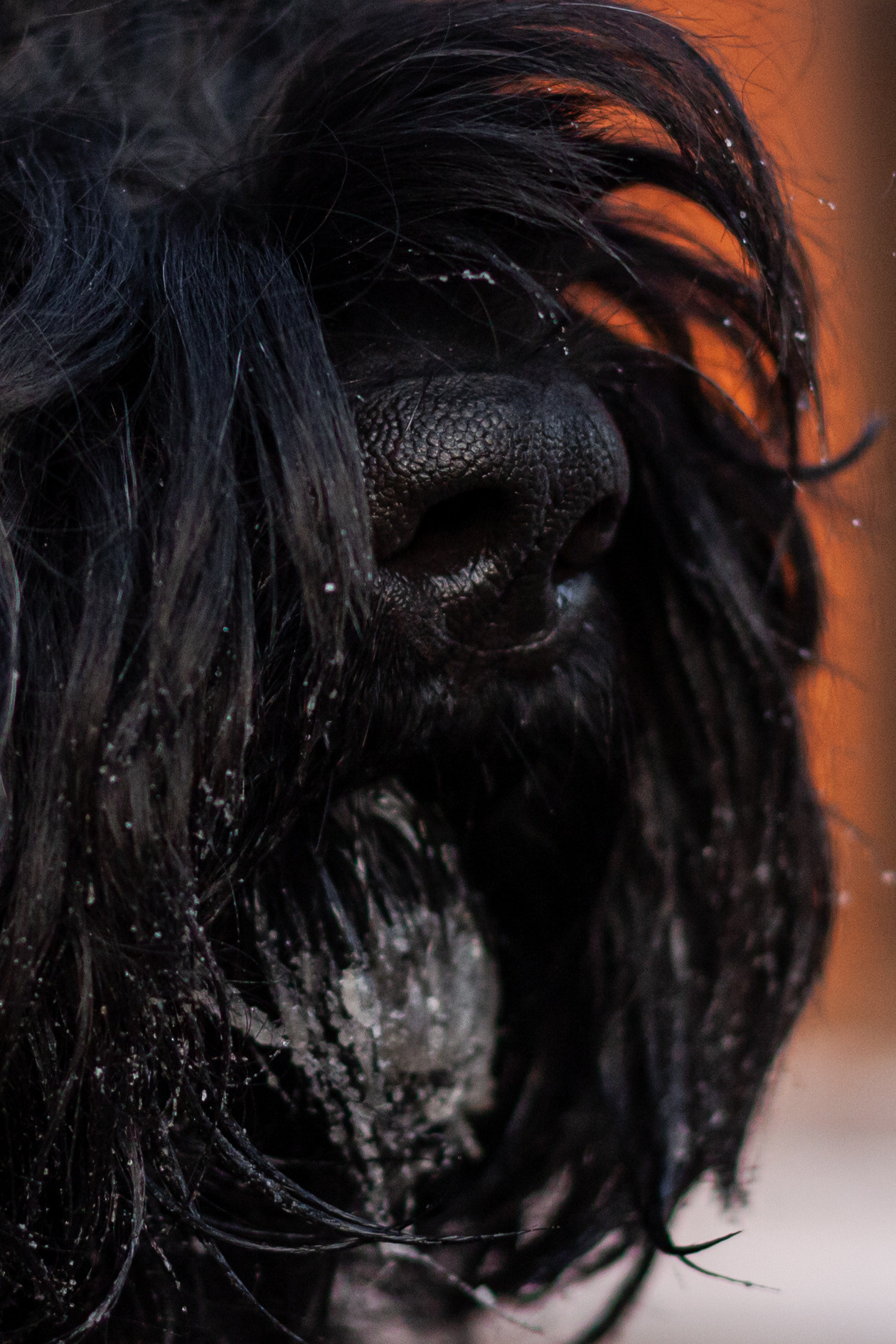 Фотопрогулка завод Арма. Фотограф-анималист Татьяна Степанова
